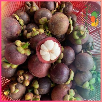 Măng Cụt Xuất Khẩu Chọn Lọc - Thùng 3kg